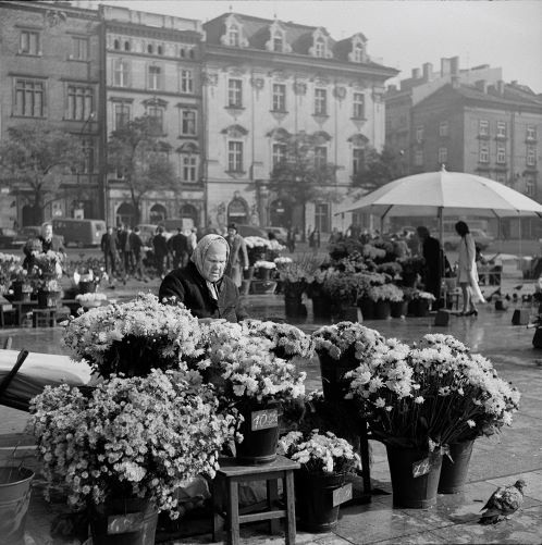Krakowskie kwiaciarki na Rynku we wrześniu 1973 roku....
