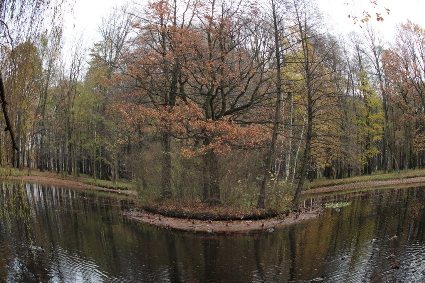 Tak wygląda park Zielona w jesiennych barwach