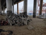 Co z ławkami leżącymi pod Estakadą Kwiatkowskiego w Gdyni? Miasto ma wobec nich plany
