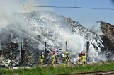 Składowisko odpadów w Przysiece znów płonęło. Po raz szósty w ciągu dwunastu miesięcy. Jak rozwiązać problem tajemniczych pożarów?
