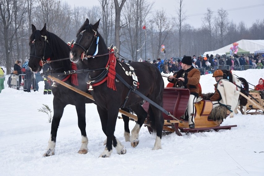 Parada Gazdowska 2019 - Biały Dunajec