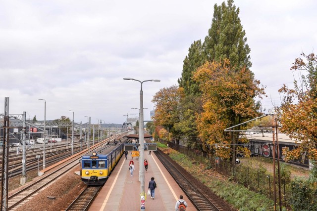 Ponad tysiąc drzew przy torach SKM zostanie wyciętych?