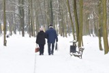 Pieniądze dla seniora. Polacy do emerytury podchodzą realistycznie ale potrzebują wsparcia w przygotowaniach 