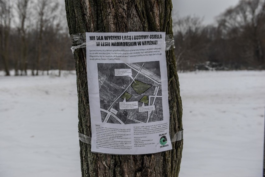 Wojewoda „za, a nawet przeciw” w sprawie Brzeźna. Przeprasza...