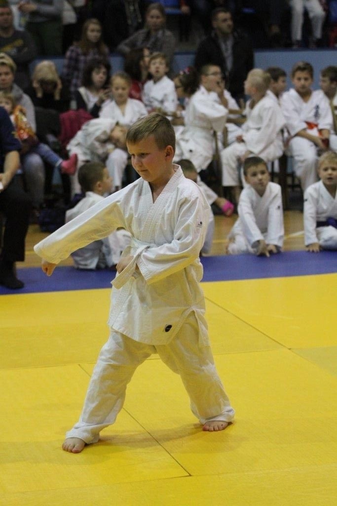 Udany mikołajkowy turniej karate w Kielcach. Startowało 500 zawodników!  