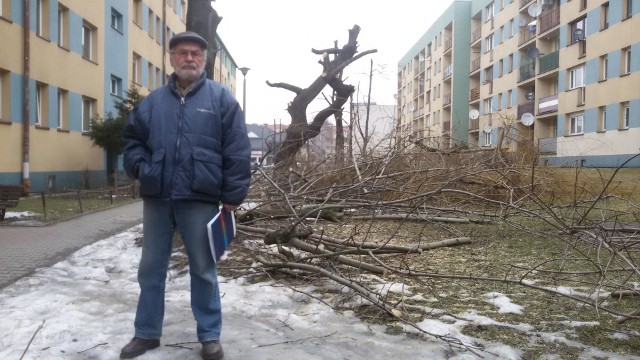 Żywiec: skandaliczna „przycinka" drzew na osiedlu 700-lecia