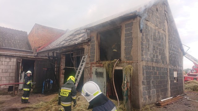 Pożar wybuchł nad ranem, strażacy zostali zaalarmowali kilka minut po godzinie 5.