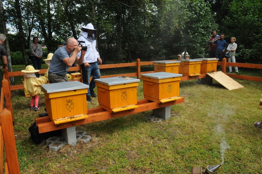 Pasieka uniwersytecka w ogrodzie botanicznym [ZDJĘCIA]