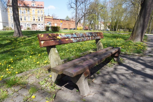 Park w Gubinie jaki jest każdy widzi. Miasto skupia się na modernizacji terenu zielonego naprzeciwko księgarni. Kolejne tereny parkowe przy ul. Dąbrowskiego też zostaną odnowione?