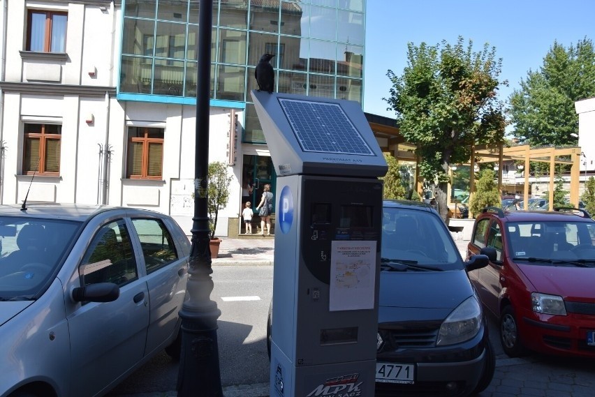 Ceny w Nowym Sączu idą w górę. Odczują to również parkujący...