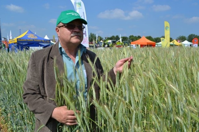 Marek Radzimierski, doradca z Kujawsko-Pomorskiego Ośrodka Doradztwa Rolniczego (oddział w Przysieku) twierdzi, że na lepszych glebach, przy właściwej agrotechnice, plony mogą być niezłe