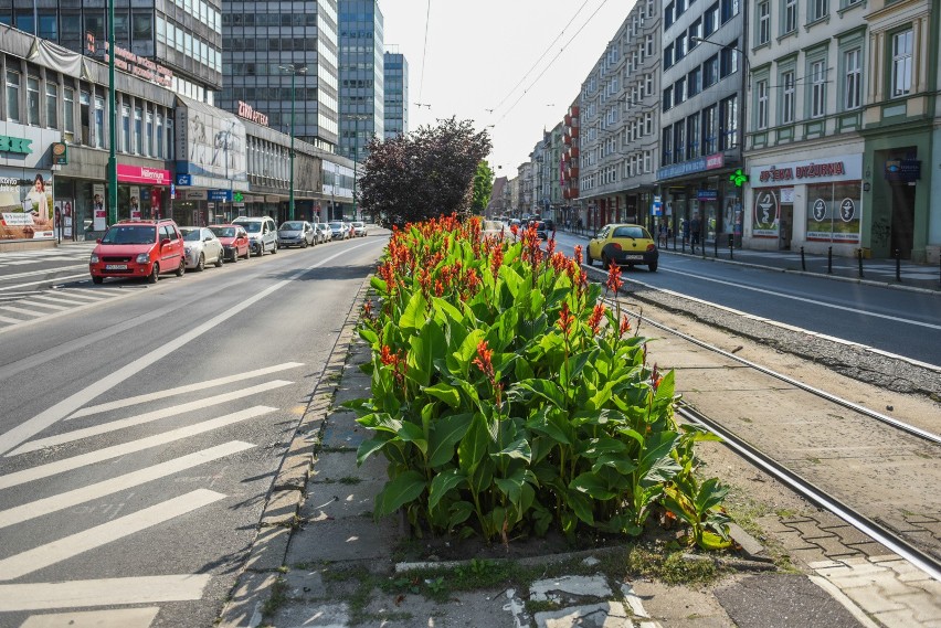 Święty Marcin jak Champs Elysees