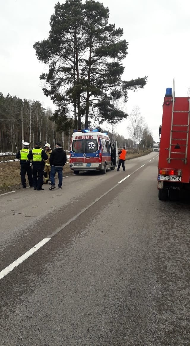 Białogrądy. Tragiczny wypadek na DK 65. Kierowca busa zginął na miejscu [ZDJĘCIA]