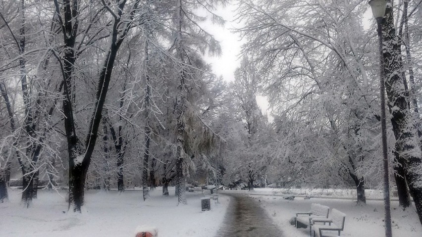 Tak wygląda zimą Park Inwalidów Wojennych przy ul....