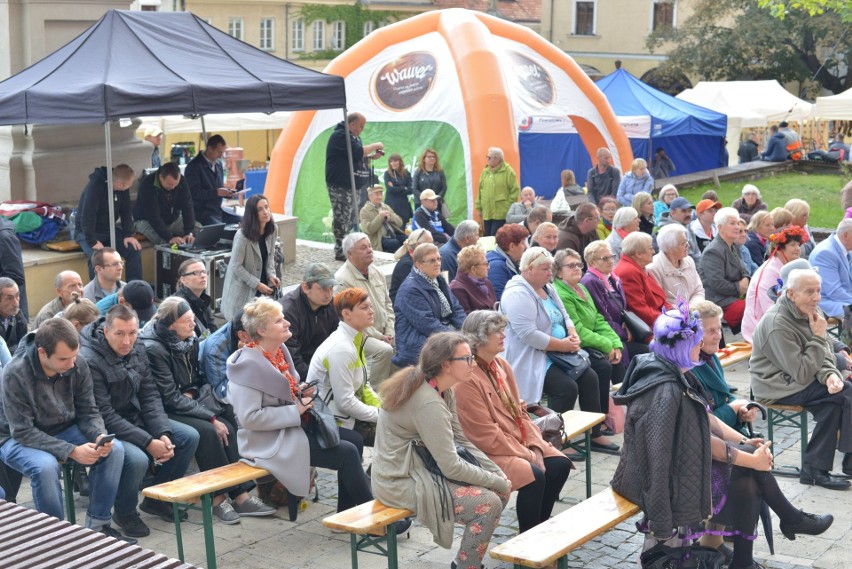 Senioralia w Sandomierzu. Seniorzy pokazali, jak się bawić (NOWA GALERIA ZDJĘĆ)