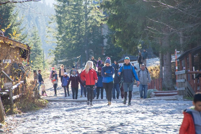 Zakopane. Znów pełno turystów. "Każdy weekend jest tłoczny. Sezon znacznie się wydłużył"