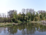 Arboretum Bolestraszyce to idealne miejsce na majowy weekend dla miłośników przyrody. Co oferuje i jak dojechać?