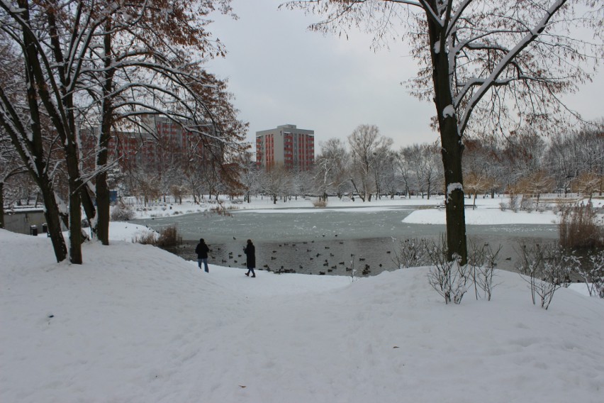 Park Kachla w Bytomiu zimą. Zobacz kolejne zdjęcia >>>