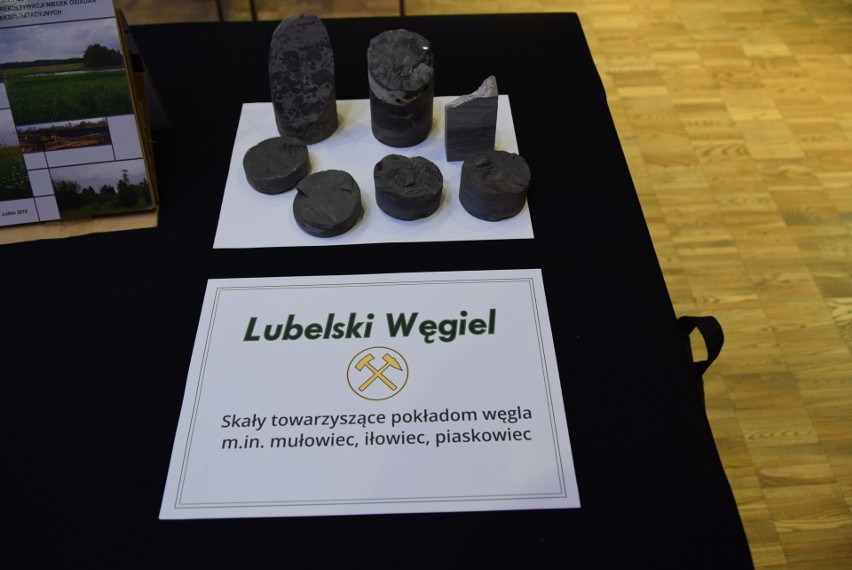 Wkrótce ruszy wydobycie lubelskiego bursztynu (ZDJĘCIA)