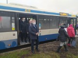 Grudziądz. Wystartowały autobusy Powiatowego Transportu Publicznego. Wpadek nie udało się uniknąć [zdjęcia]