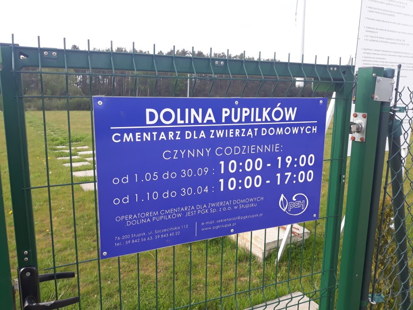 "Dolina Pupilków" - piękne świadectwo przyjaźni człowieka ze zwierzęciem. Śladami Misi, Neli, Zeusa i Lenina