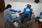 Udana zbiórka krwi w Pawłowie. Udało się pobrać prawie 23 litry od 50 dawców. Zobacz zdjęcia z akcji