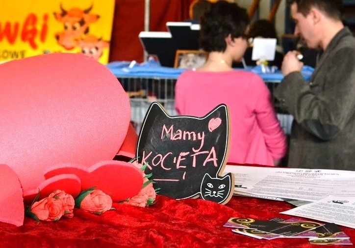 Bielsko-Biała: wystawa kotów