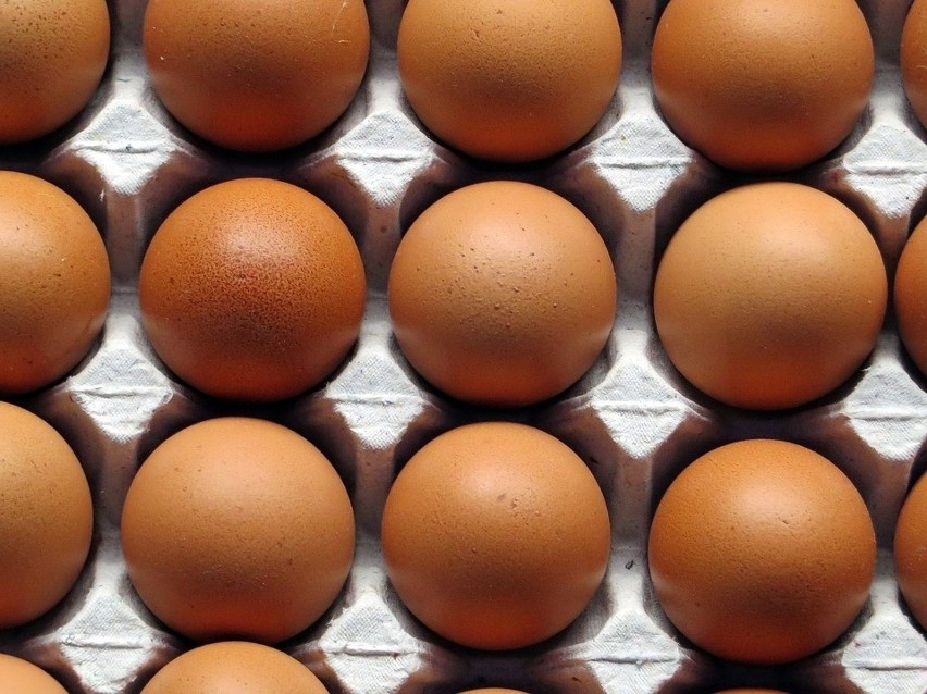 Jakie jajka wybrać? Co oznaczają kody na skorupkach?