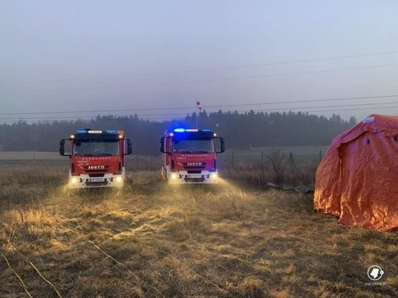 Chemikalia składowane były w starym kurniku w...