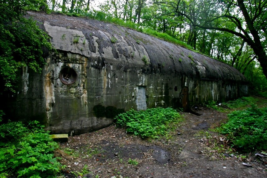 Zapomniany fort przy Polanowickiej będzie turystyczną atrakcją Wrocławia? (ZDJĘCIA)