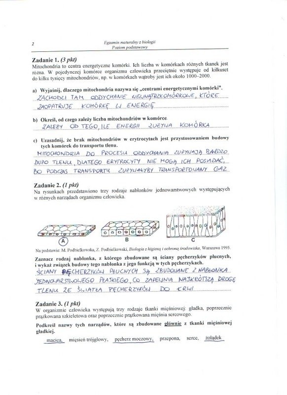 MATURA 2013. Biologia - poziom podstawowy [ARKUSZE, ODPOWIEDZI, KLUCZ CKE]