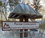 Kujawsko-Pomorskie. Parów Cieleszyński - zaginiony świat, który sam możesz odkryć [zdjęcia]