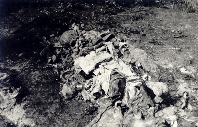 Ekshumacje w lasach panewnickich we wrześniu 1947 r.