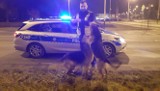Uwaga! Dwa owczarki niemieckie na gigancie, czworonożnych uciekinierów zatrzymała "drogówka"