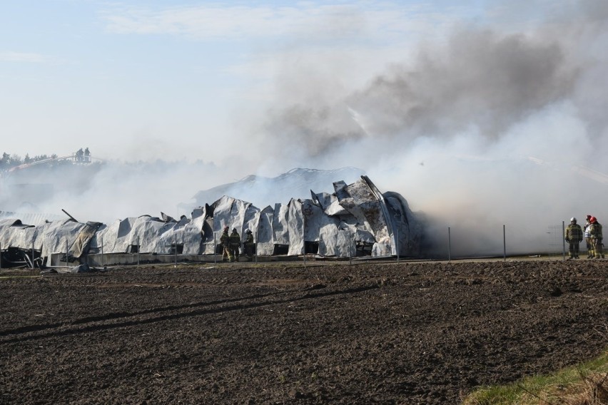 Pożar zakładu meblarskiego w Kaninie. Blisko 140 osób straciło pracę. "Będziemy starali się pomóc tym ludziom" - zapewnia wójt gminy 