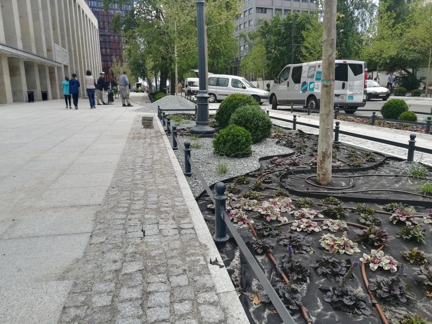 Tysiące drzew i krzewów ozdobią łódzkie ulice. Właśnie urządzane są zieleńce przy ul. Traugutta [ZDJĘCIA]