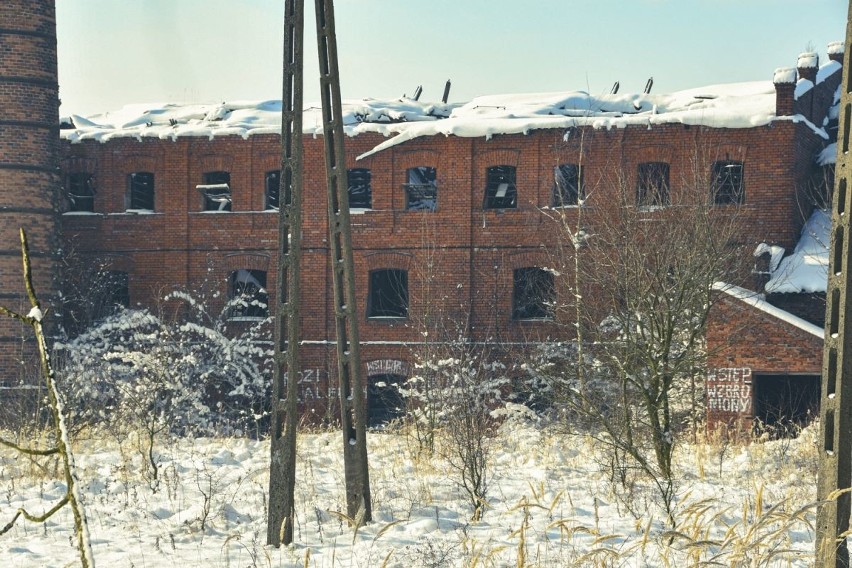 Strefa Opuszczona (8). Zrujnowana cegielnia "Janinów" w Mstyczowie (WIDEO, zdjęcia)