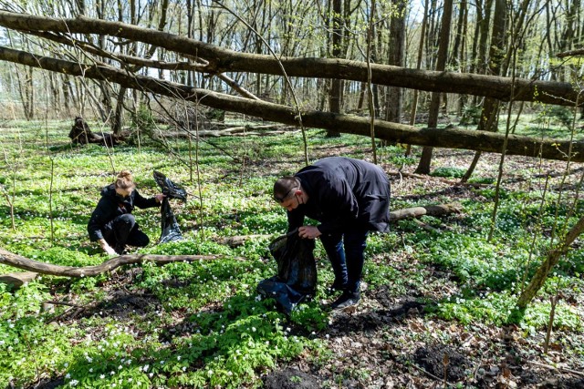 Białostoczanie sprzątają lasy z okazji Dnia Ziemi