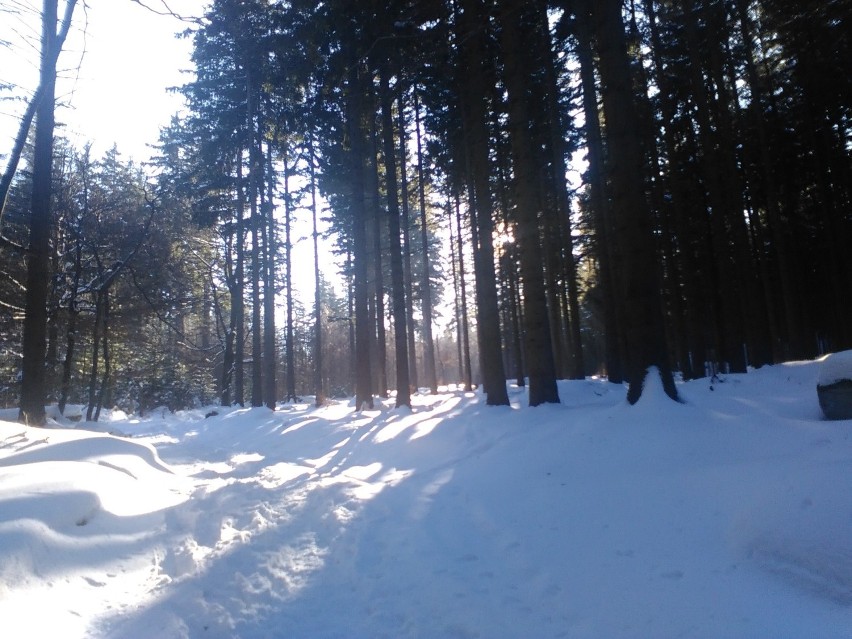 Karkonosze zimą, 22.01.2017