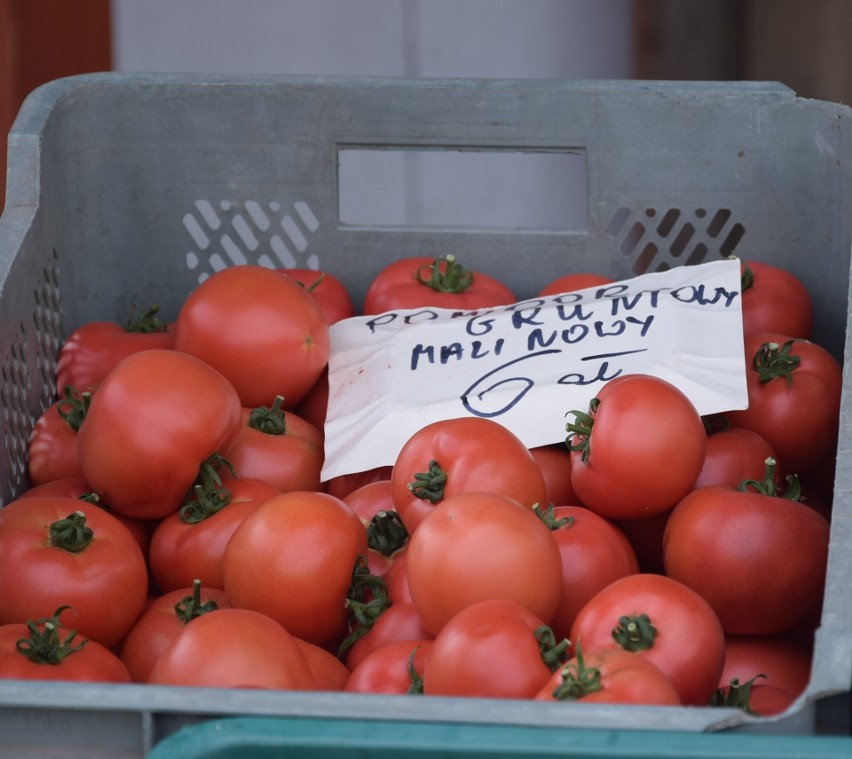 Koszt pomidorów jest dość wysoki, cena za kilogram to około...