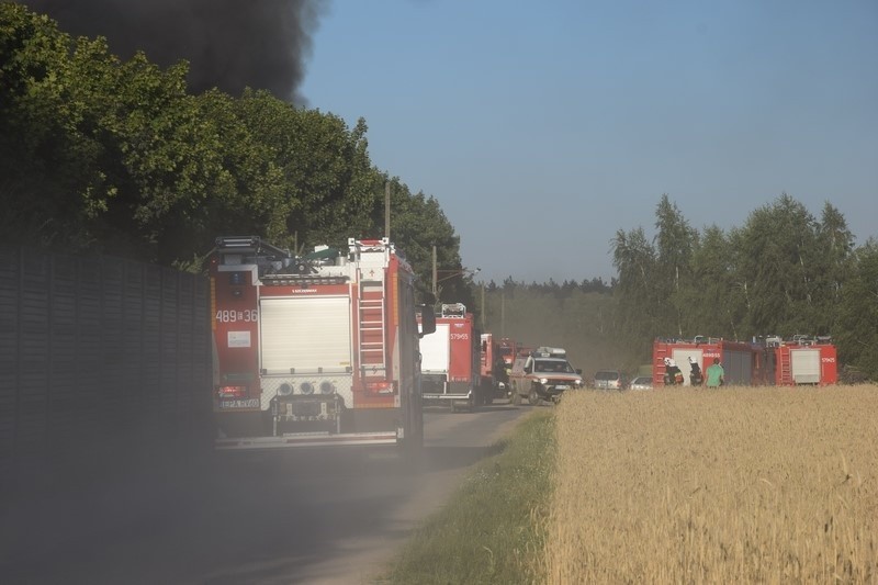 Pożar wysypiska śmieci w Mostkach koło Zduńskiej Woli