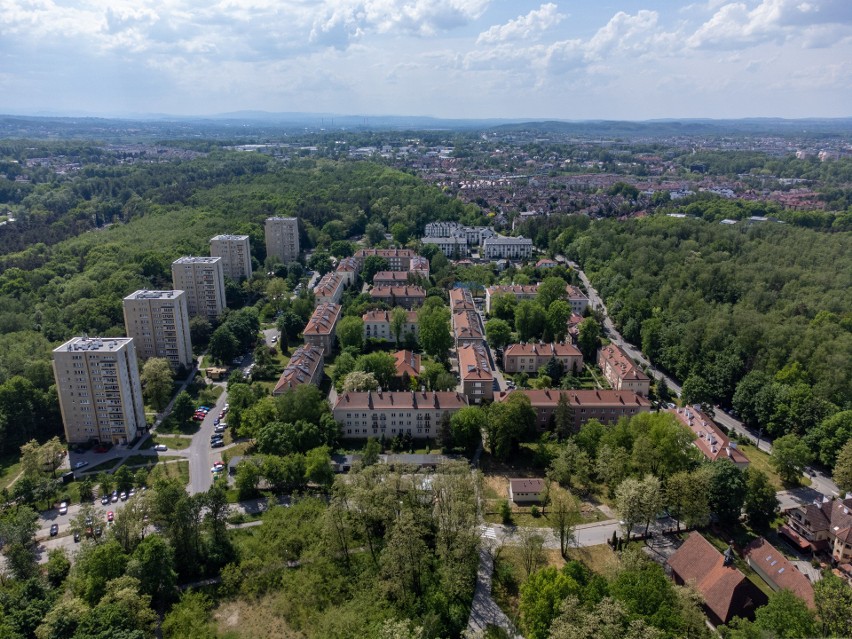 To najbardziej zielone osiedle Krakowa. W samym środku Lasu Borkowskiego