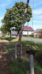 Zbutwiały słup na ul. Kościelnej w Polskiej Nowej Wsi stanowi zagrożenie