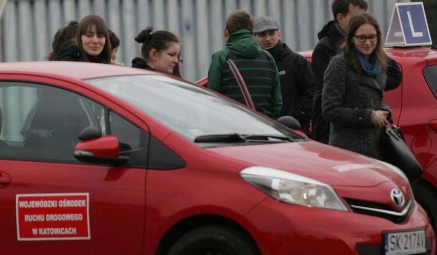 Prawo jazdy - jak je uzyskać i ile kosztuje? Jak wygląda egzamin i testy na prawo jazdy