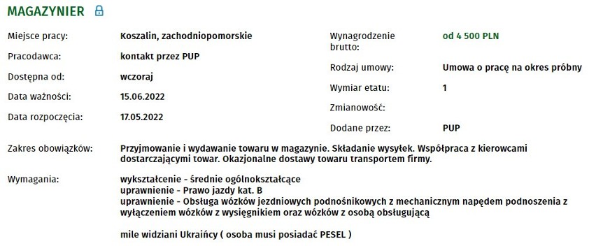 Nowe oferty pracy w Koszalinie. Kogo poszukują pracodawcy? Ile płacą? Sprawdź! 10.07.2022
