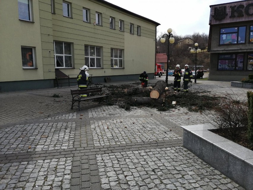 Dwa drzewa rosnące na rynku w Gilowicach zostały wycięte