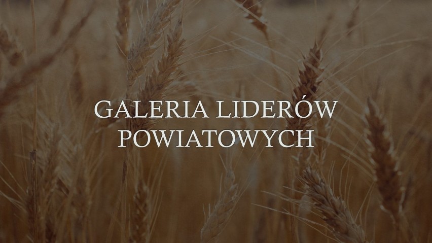 Mistrzowie Agro 2019 | Galeria liderów powiatowych z 30 sierpnia