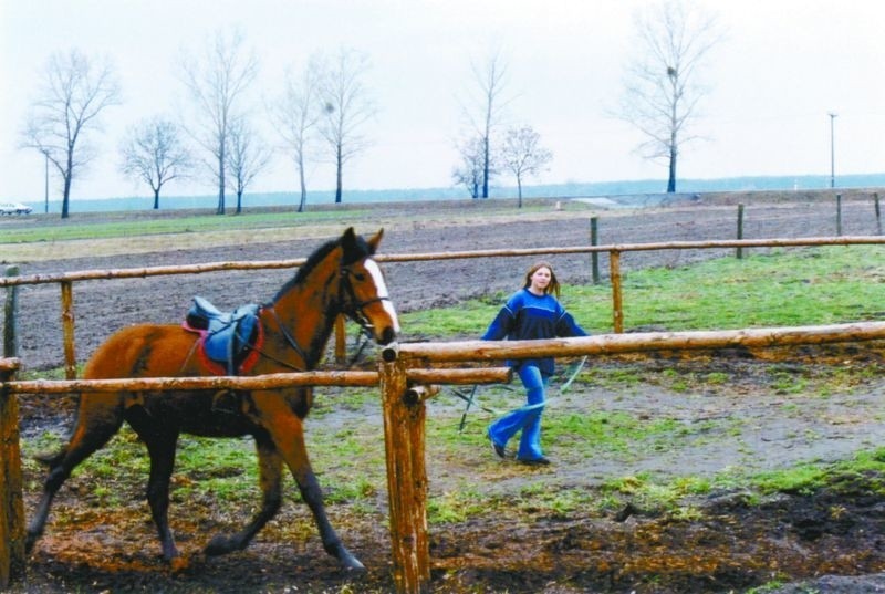 Magdalena Zaborska z Opola przeslala fote swojego konia,...