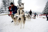 Nie dla psa Karkonosze! Park zamyka szlaki dla czworonogów