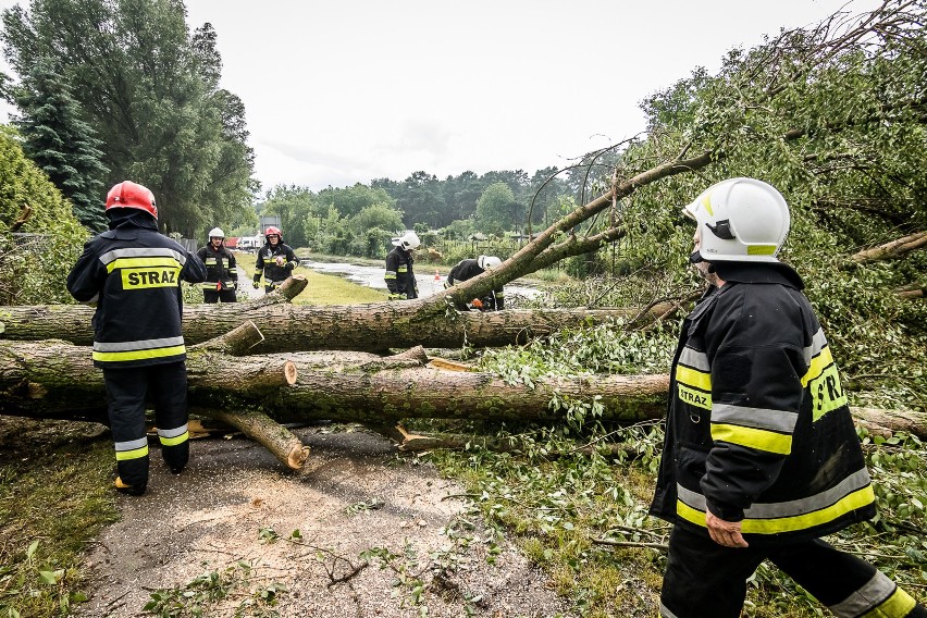 Burze w Kujawsko-Pomorskiem. W Bydgoszczy przewróciły się drzewa [środa, 25 kwietnia 2018]